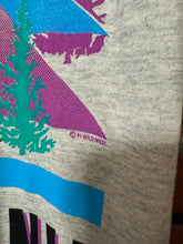 Load image into Gallery viewer, Vintage 1991 Pennsylvania Landscape Tee (M)