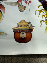 Load image into Gallery viewer, Vintage 80s Smokey Bear Birds Poster (19x28)
