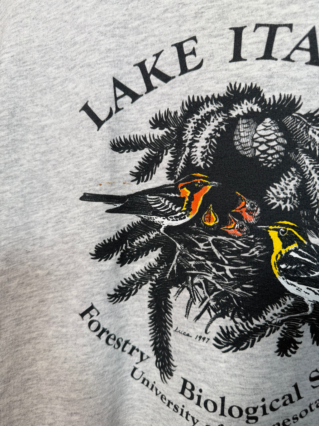 Vintage Lake Itasca Mock Neck Shirt (L)