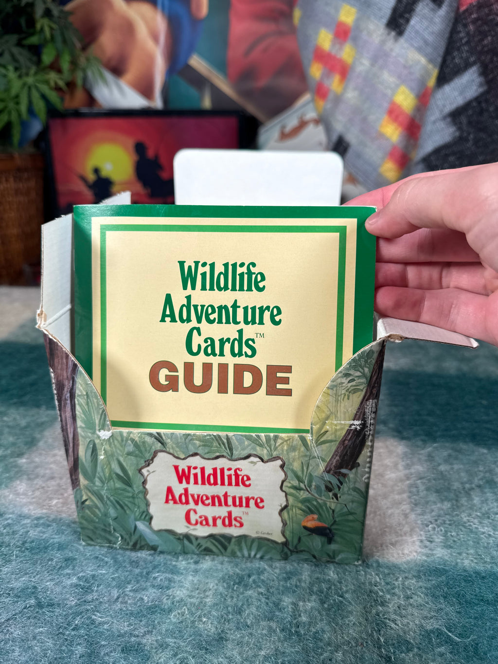 Vintage Wildlife Adventure Cards Set