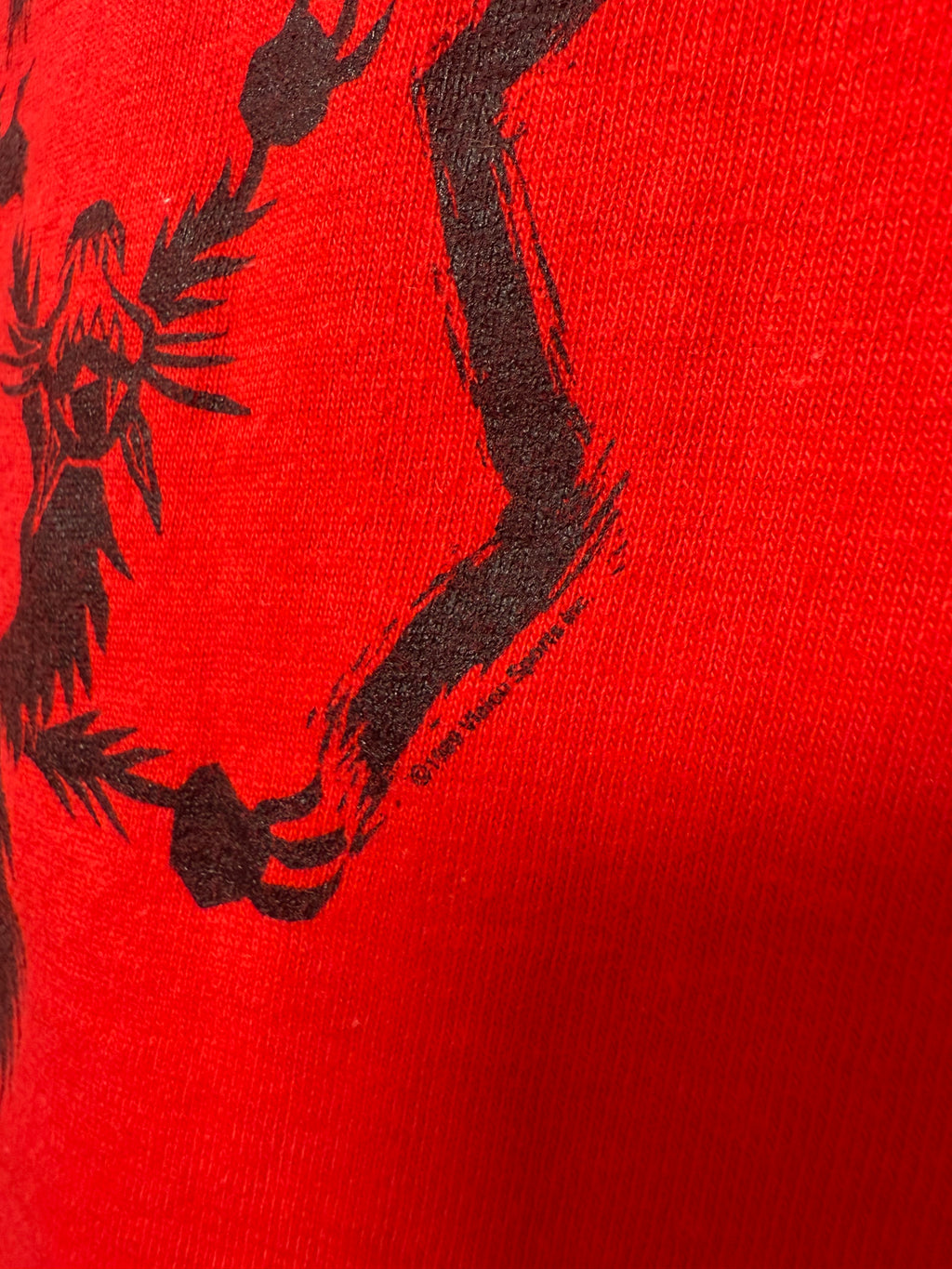 Vintage 1989 Vision Street Wear Cat T-Shirt (Youth XL)