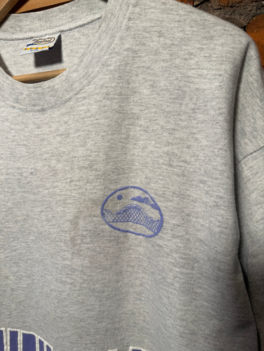 Vintage 90s Dorney Park Puffy Print Tee (XL)