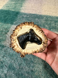 Vintage 3D Horse Head Wooden Belt Buckle