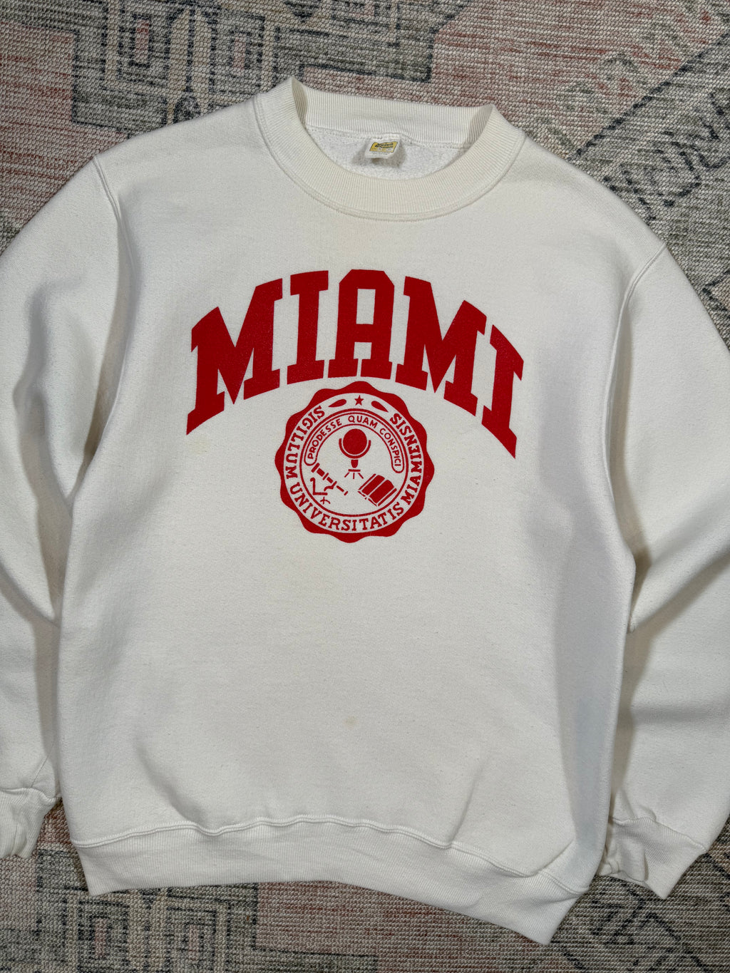 Vintage 80s University of Miami Crewneck (S)