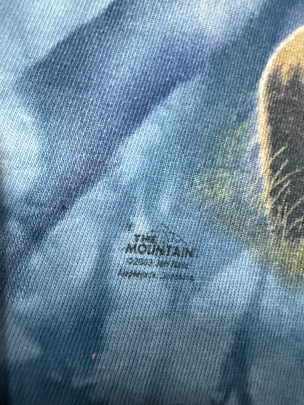 Vintage 2003 The Mountain Bear Tie Dye Shirt (M)