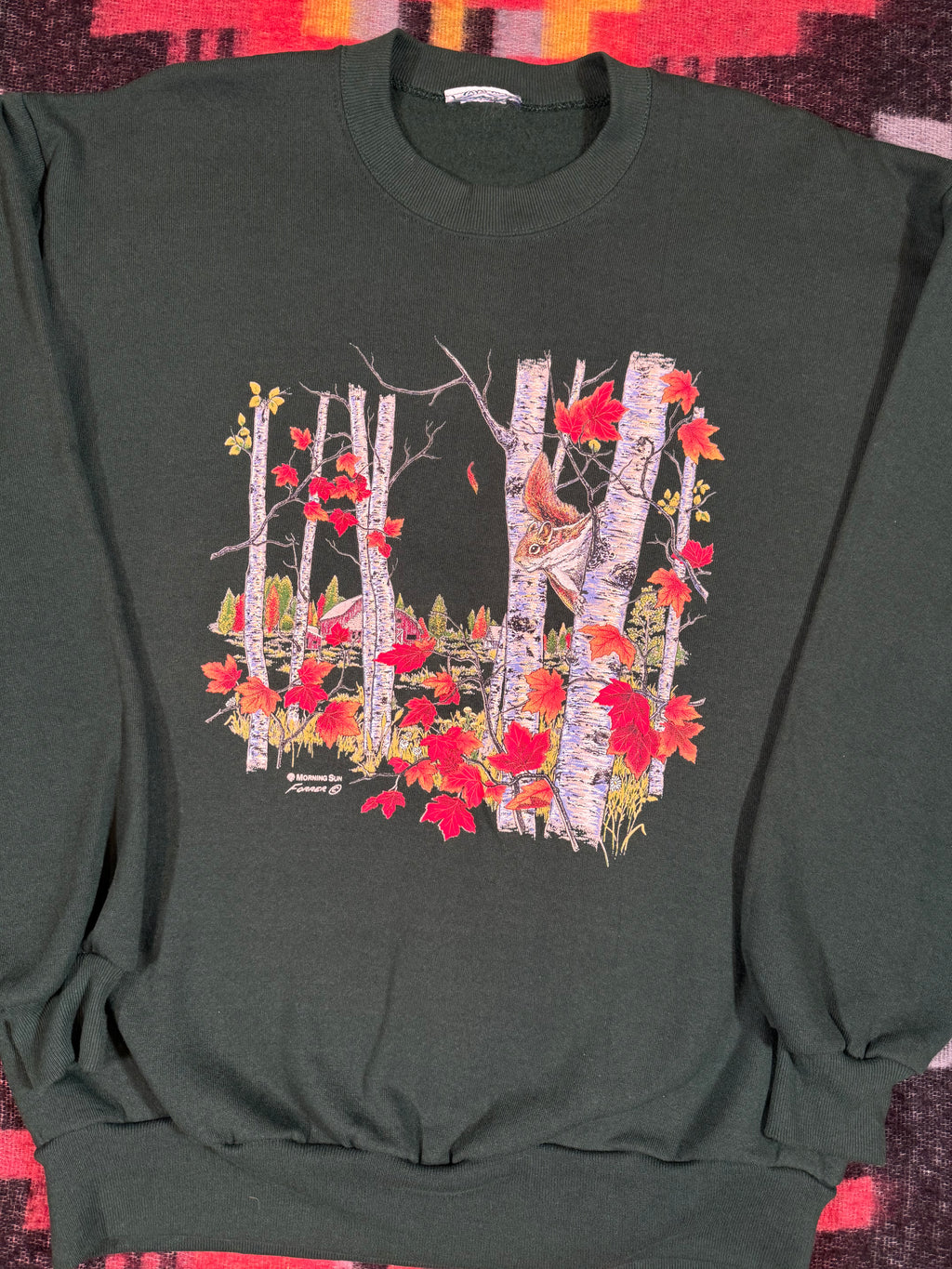 Vintage Falltime Squirrel Crewneck (M/L)