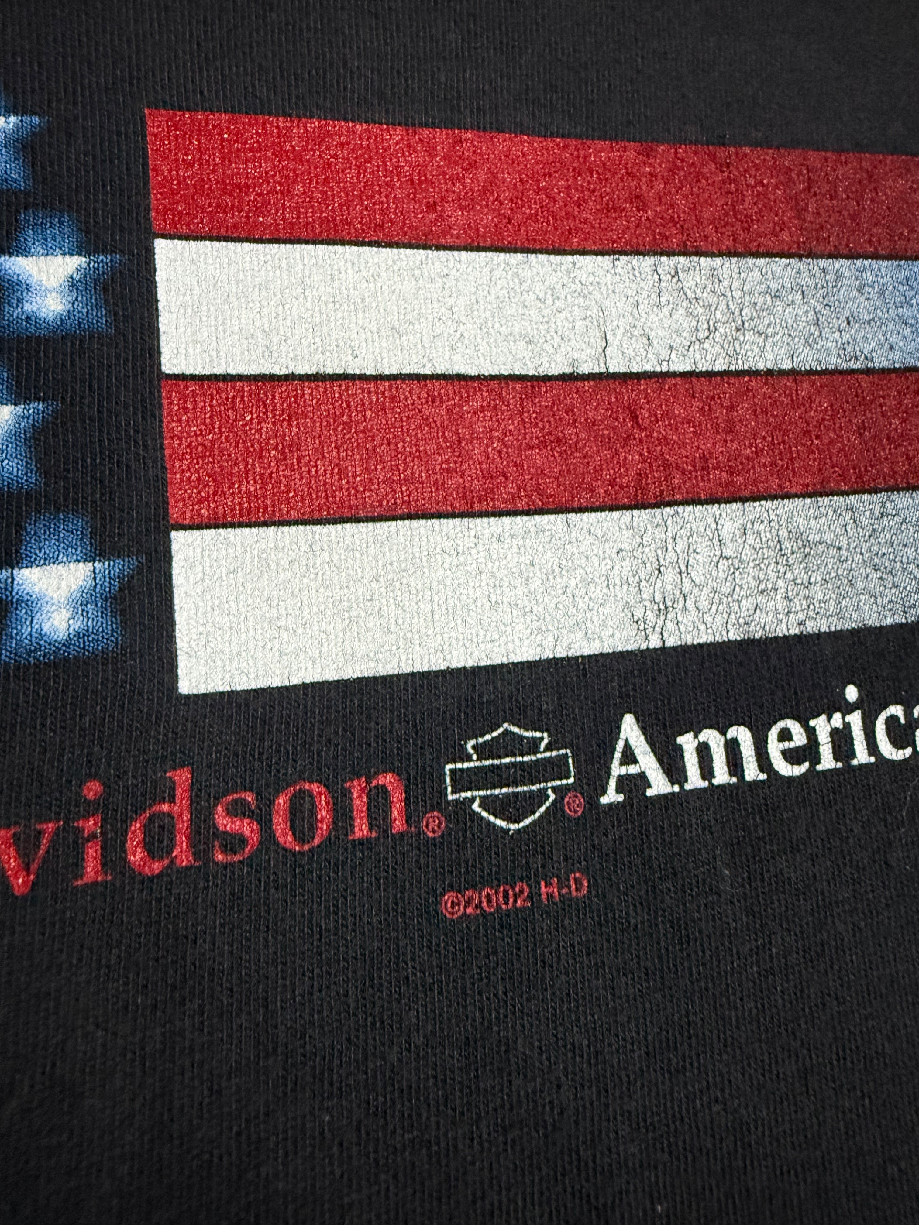Vintage 2002 Harley Davidson American Pride T-Shirt (M)