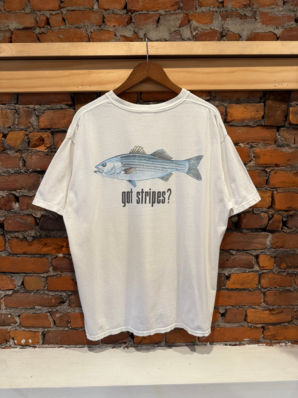 Vintage Got Stripes? IGFA Fish Tee (XL)