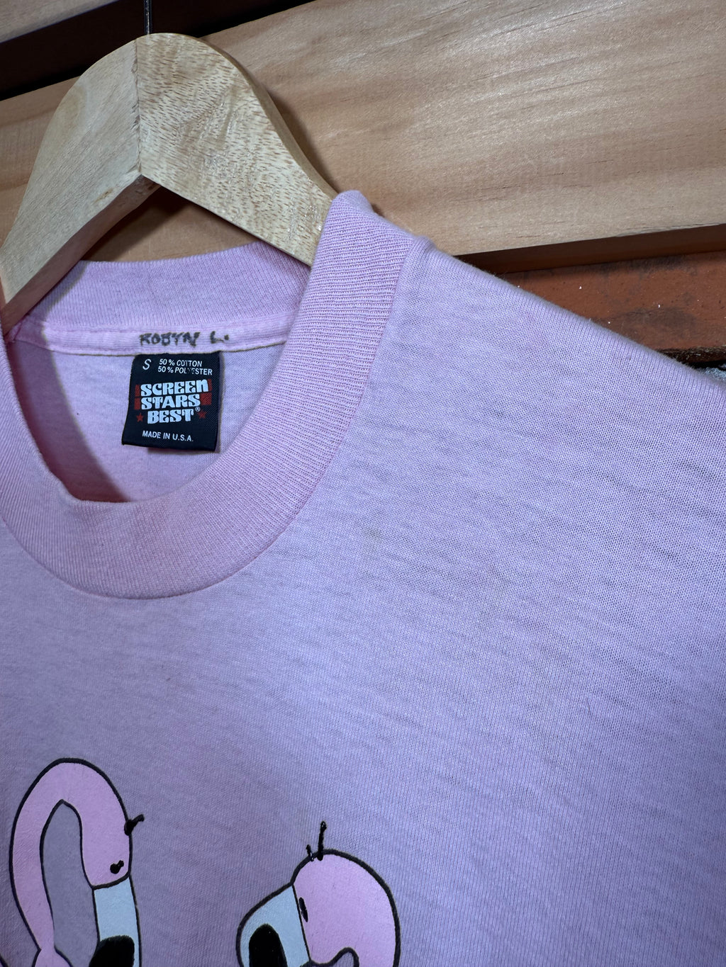 Vintage Flamingos and Duck Tee (WS)