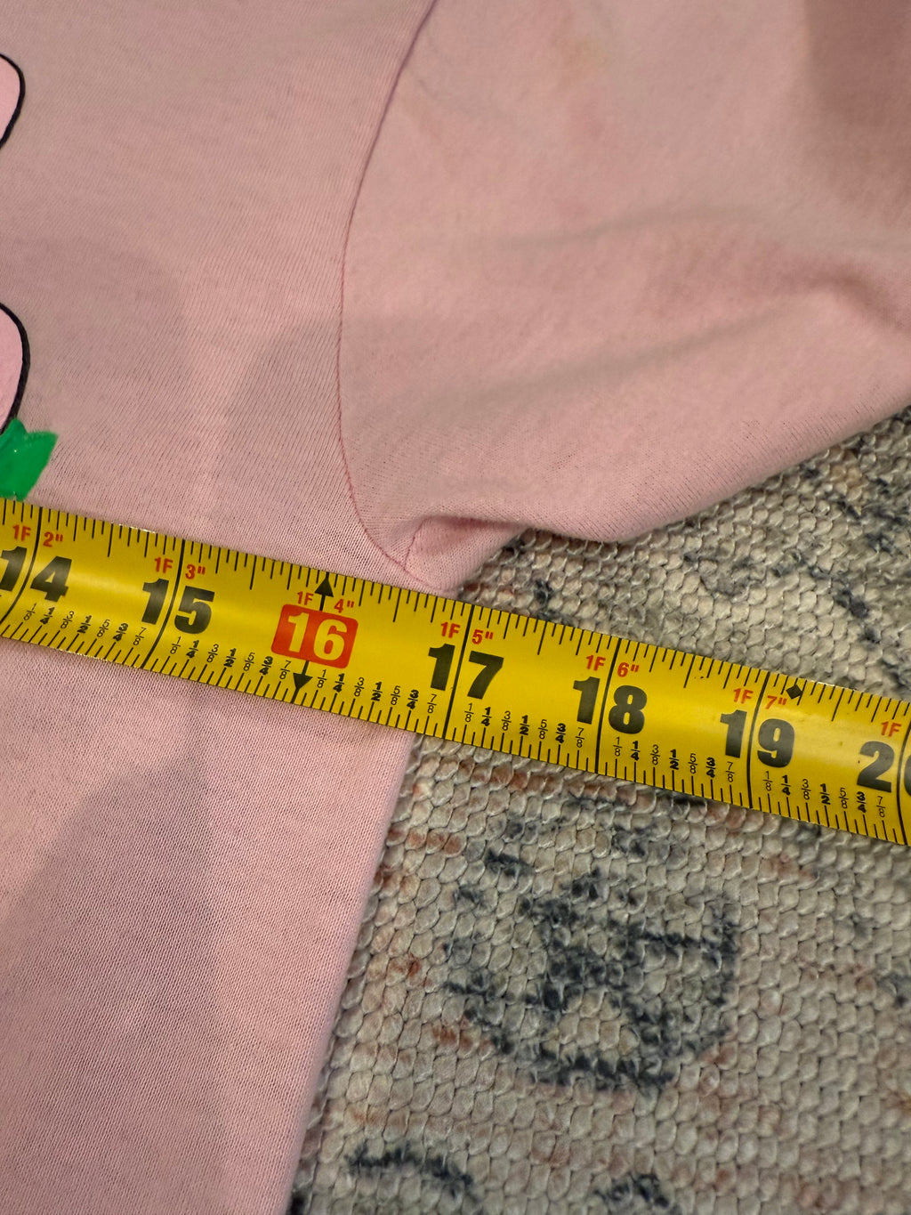 Vintage Flamingos and Duck Tee (WS)