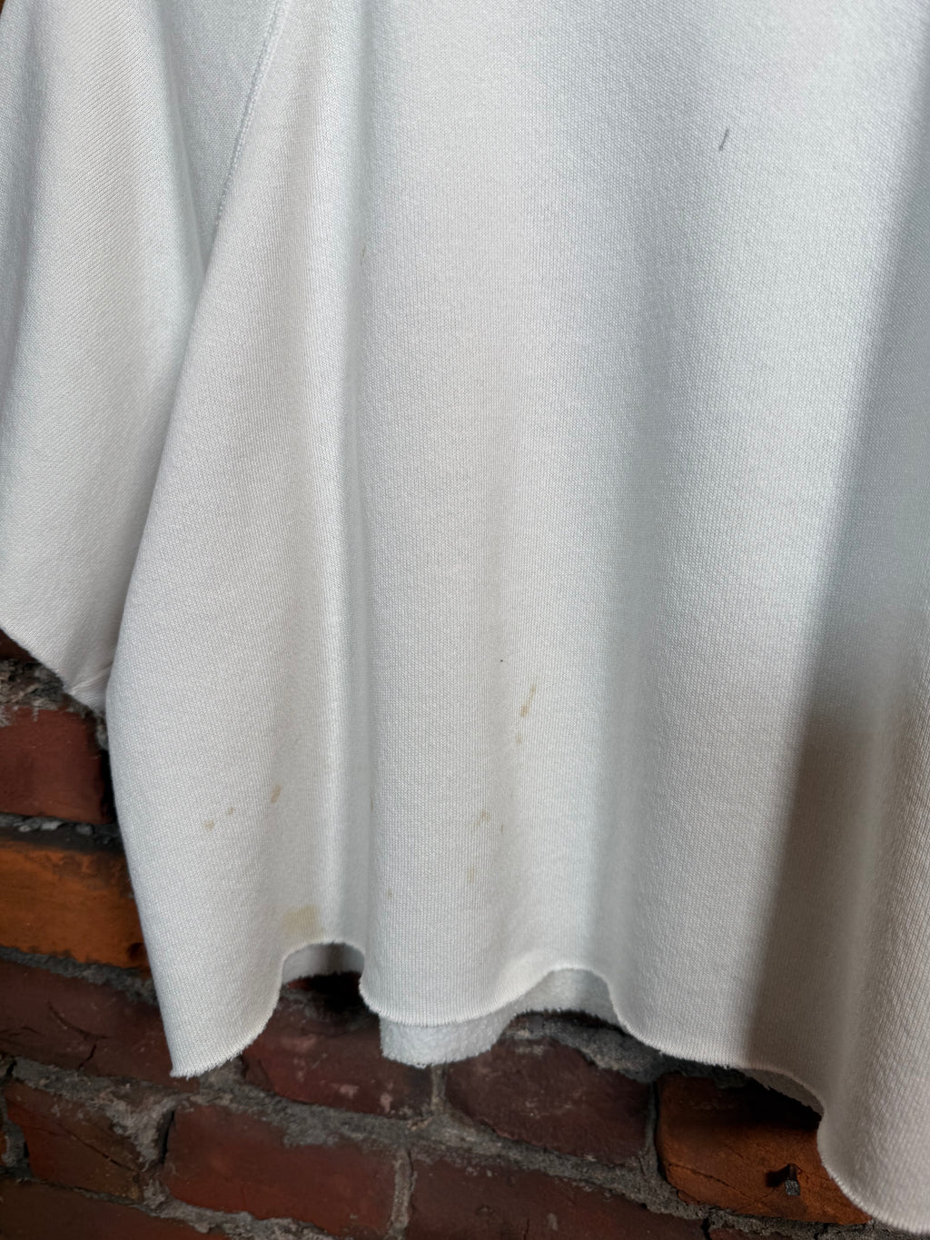 Vintage Cropped Beverly Hills Sweatshirt (WM)