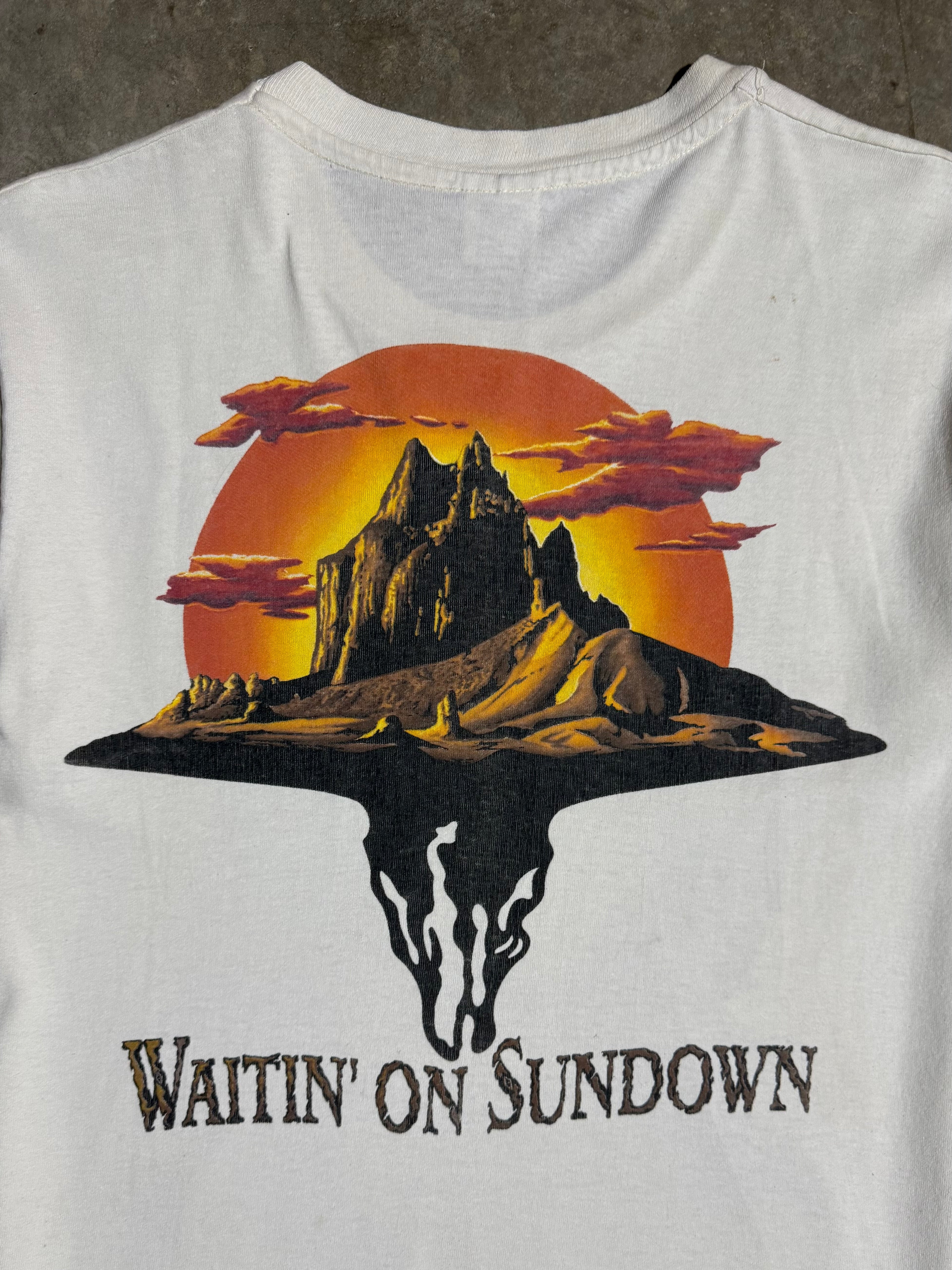 Vintage 90s Brooks & Dunn Waitin on Sundown T-Shirt (M)