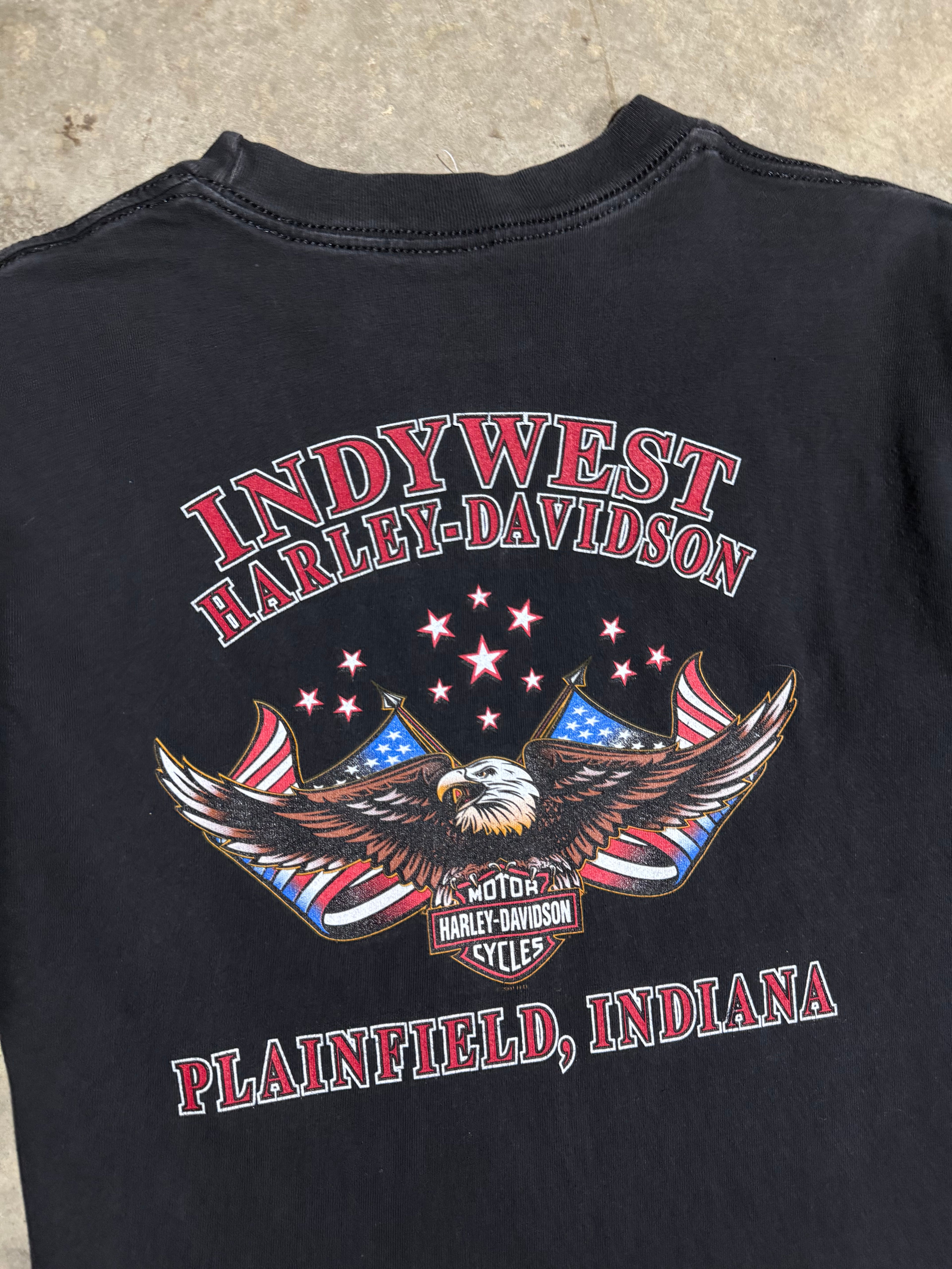 Vintage 2002 Harley Davidson American Pride T-Shirt (M)