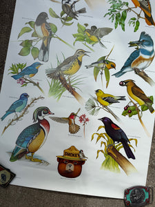 Vintage 80s Smokey Bear Birds Poster (19x28)