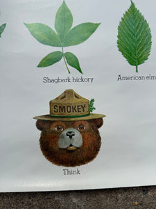 Vintage 80s Smokey Bear Leaves Poster (19x28.5)