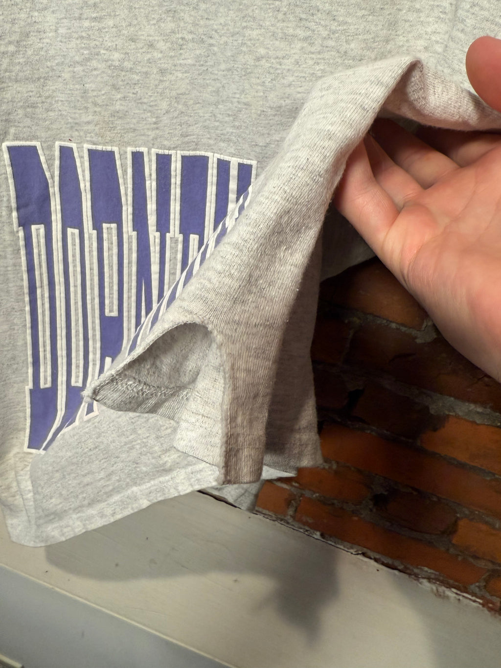 Vintage 90s Dorney Park Puffy Print Tee (XL)