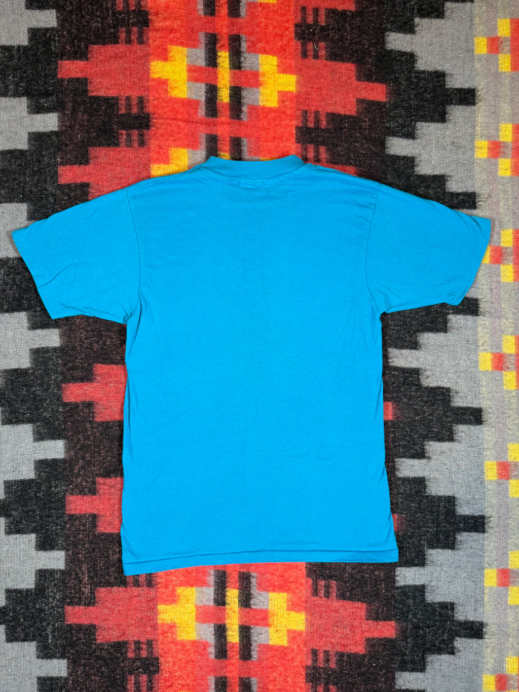 Vintage 90s Phipps Conservatory Pittsburgh Tee (S)