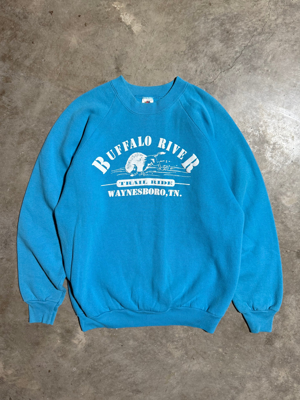 Vintage Early 90s Buffalo River Trail Ride Puffy Print Crewneck (M)
