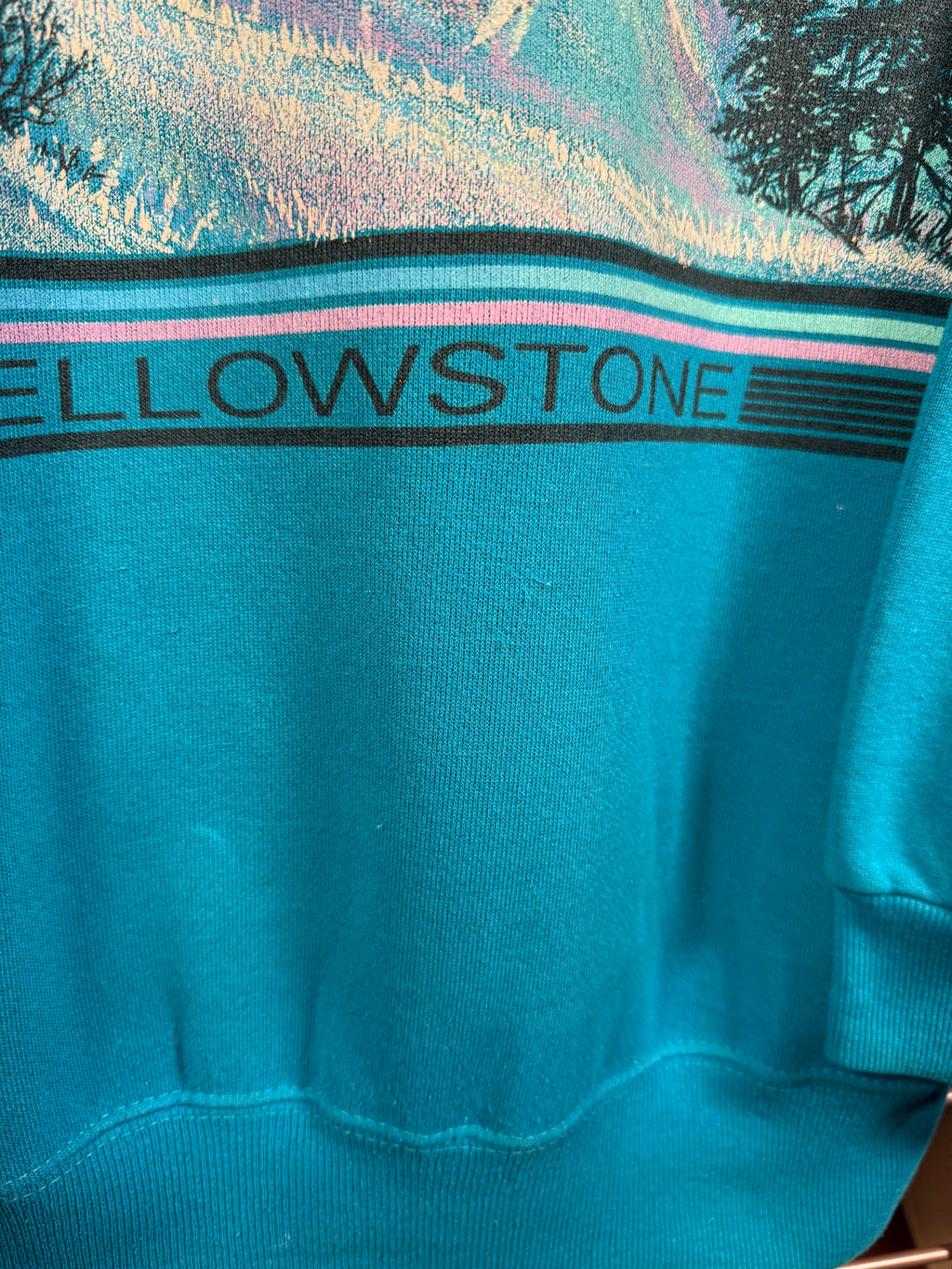 Vintage 90s Yellowstone National Park Sweatshirt(M)